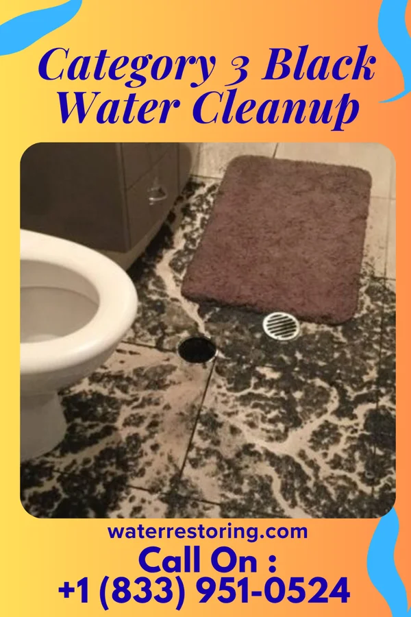 Category 3 Black Water Cleanup in Nerstrand, MN