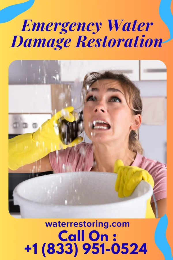 Emergency Water Damage Restoration in Nerstrand, MN